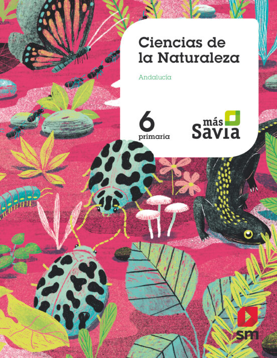 Naturales 6º Educacion Primaria Más Savia Ed 2019 Andalucia