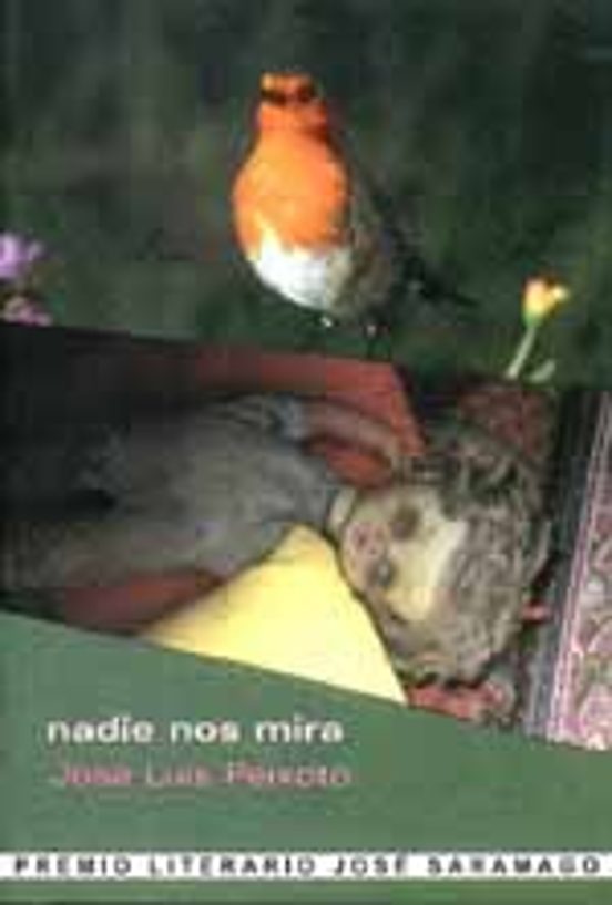 Nadie Nos Mira