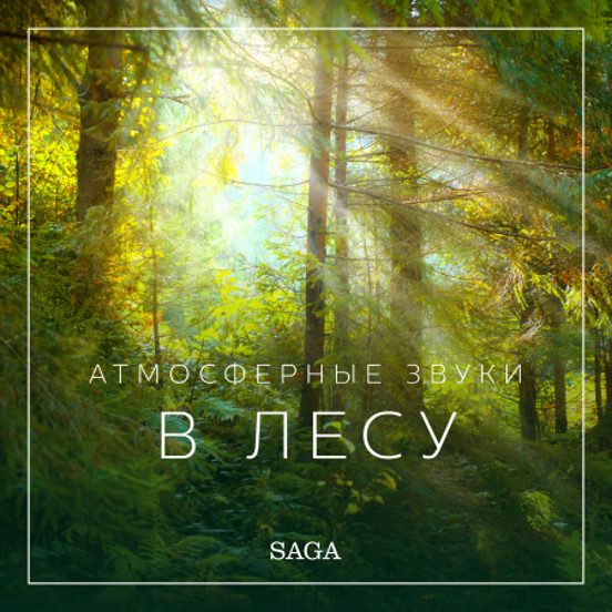 Атмосферные Звуки – В Лесу
