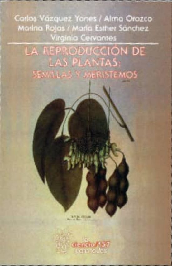 La Reproduccion De Las Plantas