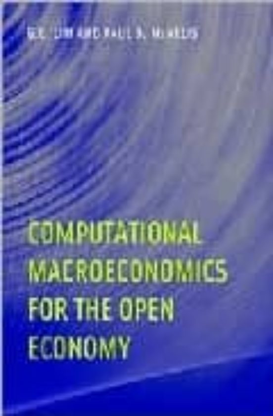 Computational Macroeconomics For The Open Economy