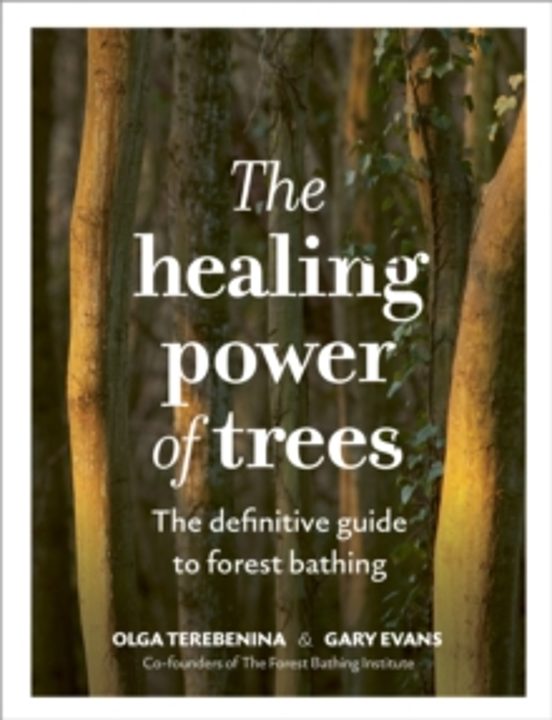The Healing Power Of Trees