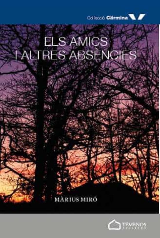 Els Amics I Altres Absències