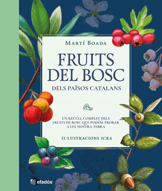Fruits Del Bosc Dels Països Catalans