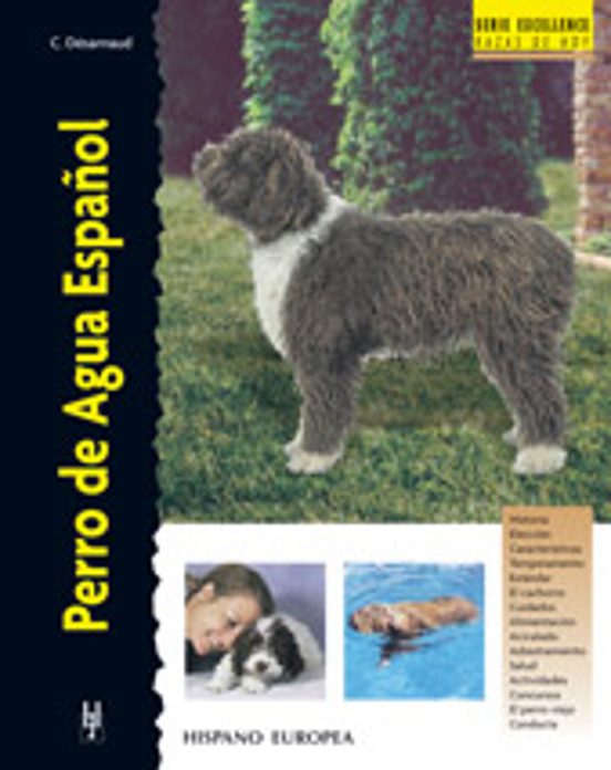 Perro De Agua Español