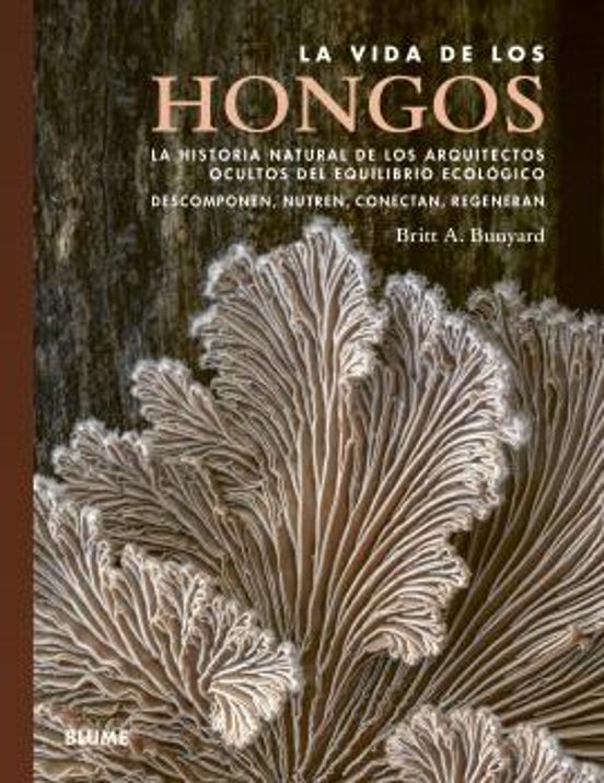 Vida De Los Hongos
