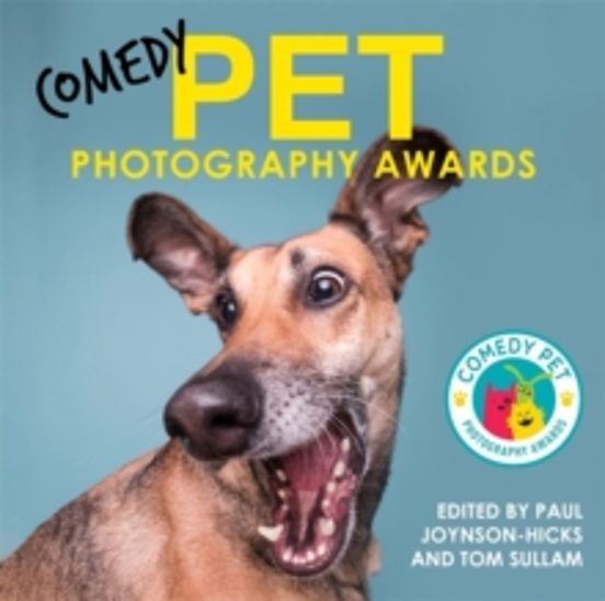 Comedy Pet Photography Awards - The Paw-fect Christmas Gift For A Nima