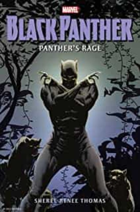 Black Panther: Panther S Rage