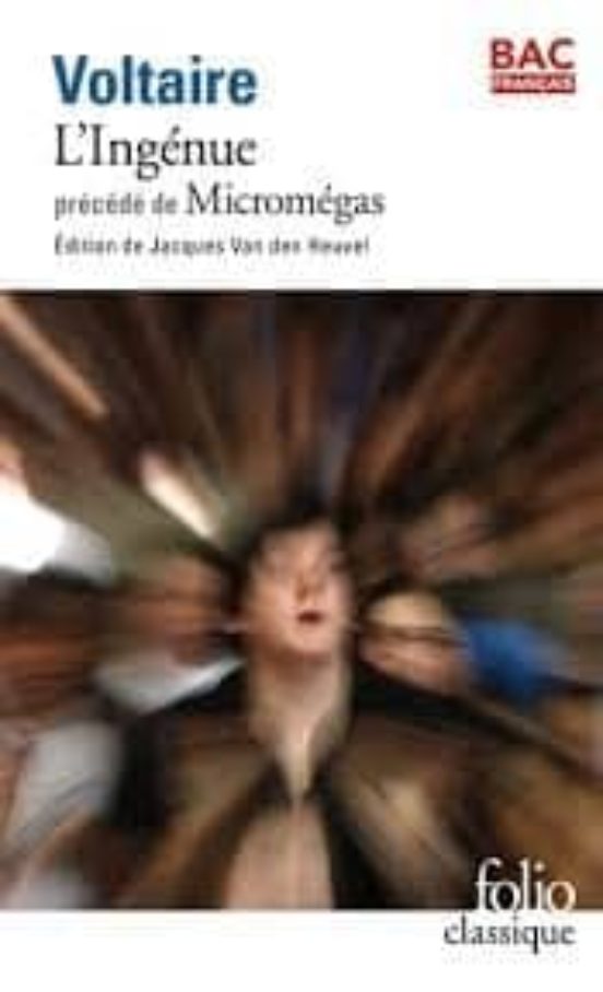 L Ingenu Precede De Micromegas