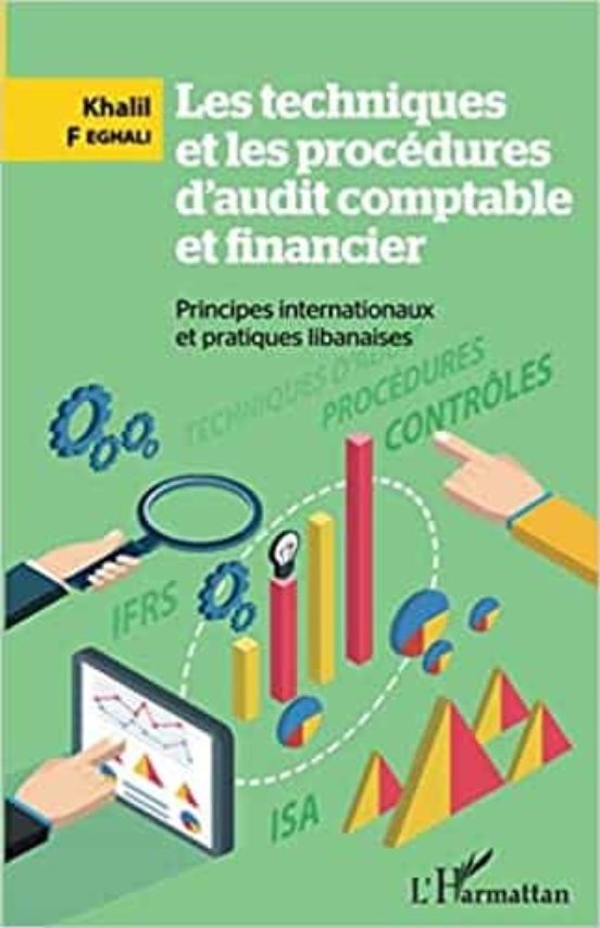 Les Techniques Et Les Procédures D Audit Comptable Et Financier : Prin