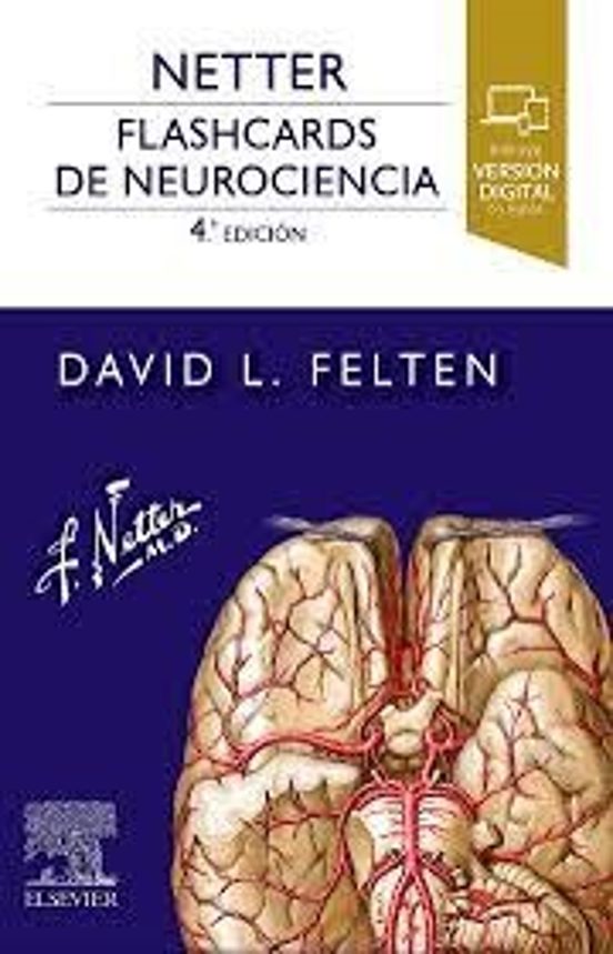 Netter. Flashcards De Neurociencia