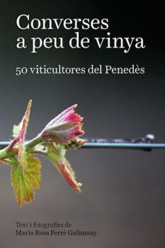 Converses A Peu De Vinya