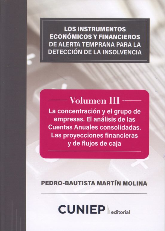 Los Instrumentos Económicos Y Financieros Para La Detección De La Inso