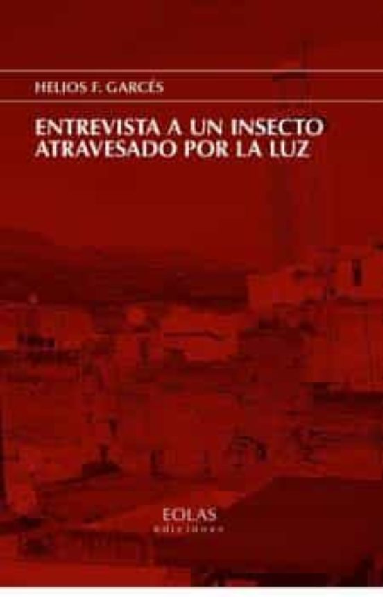 Entrevista A Un Insecto Atravesado Por La Luz