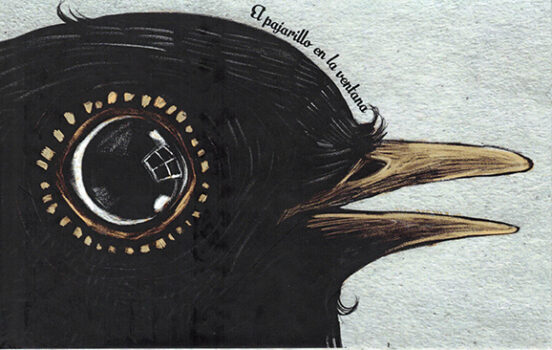 El Pajarillo En La Ventana