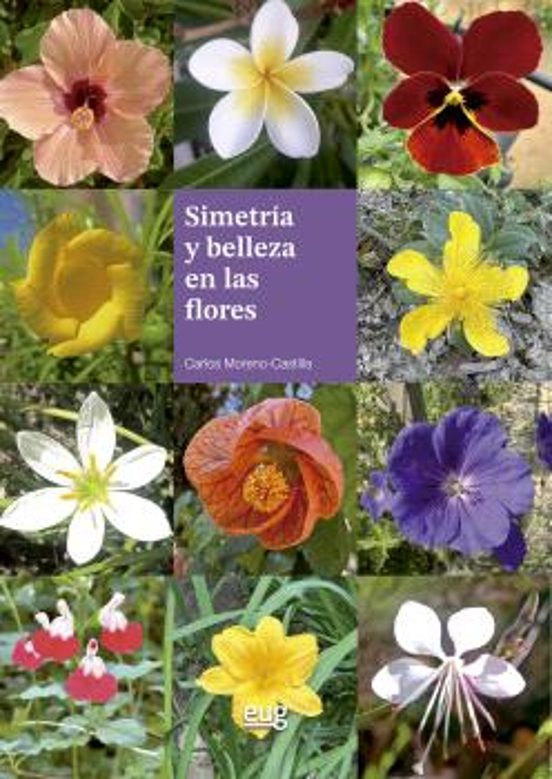 Simetría Y Belleza En Las Flores