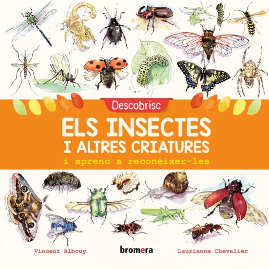 Descobrisc Els Insectes I Altres Criatures I Aprenc A Reconéixer-les