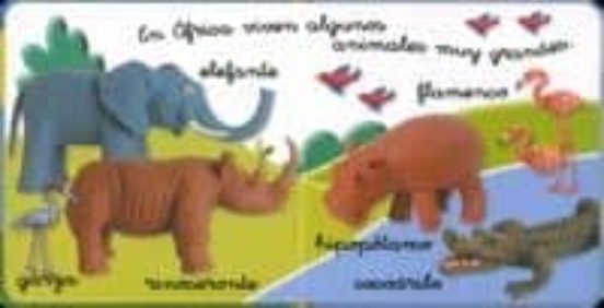Animales Salvajes: Libros Pequeñines