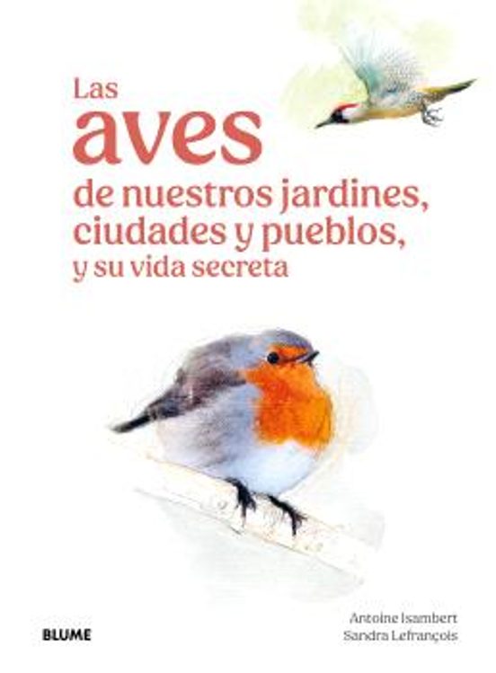 Las Aves De Nuestros Jardines Ciudades Y Pueblos Y Su Vida Secreta