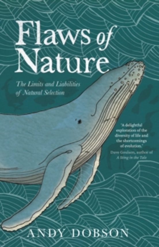 Flaws Of Nature