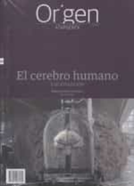 Origen 20 El Cerebro Humano
