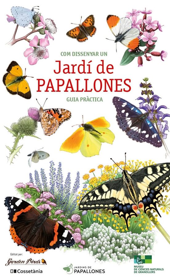 Com Dissenyar Un Jardí De Papallones
