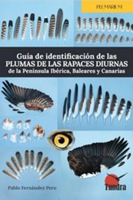 Guía de identificación de las plumas de las rapaces diurnas de la península ibérica