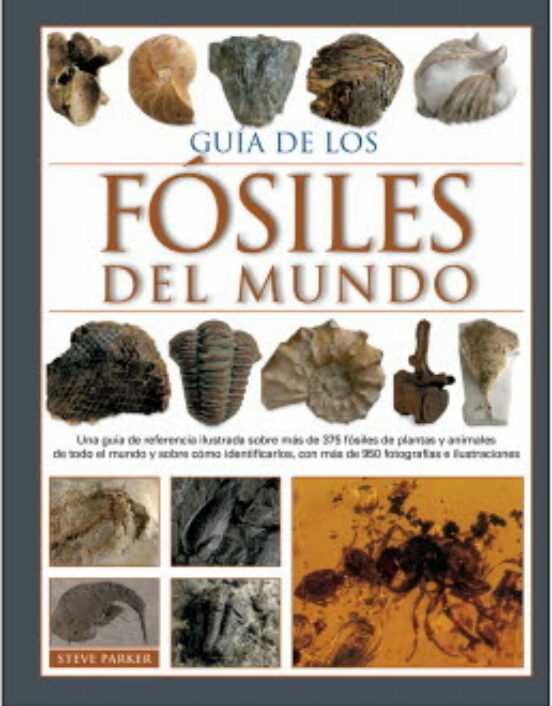 Guía De Los Fósiles Del Mundo