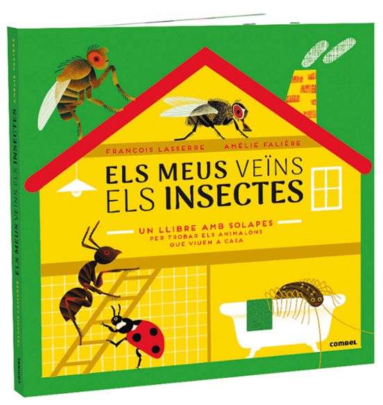 Els Meus Veïns Els Insectes