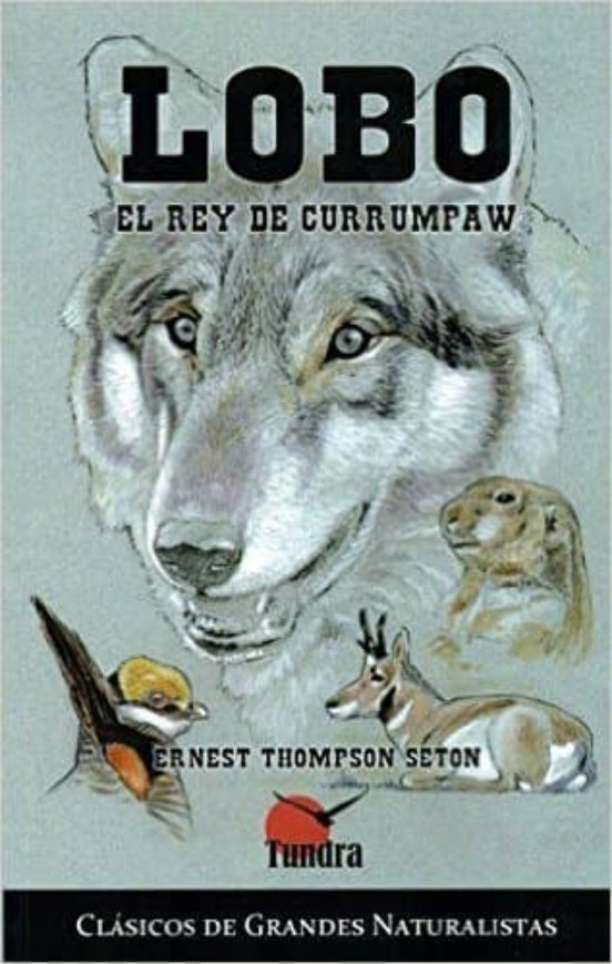 Lobo El Rey De Currumpaw