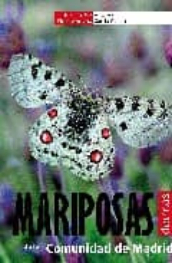 Mariposas De La Comunidad De Madrid