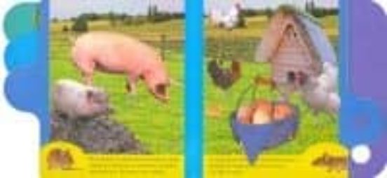 En la Granja