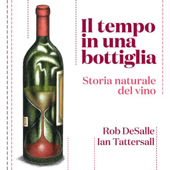 Il Tempo In Una Bottiglia. Storia Naturale Del Vino