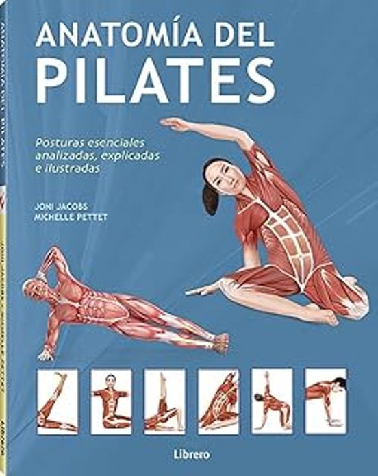 Anatomía Del Pilates