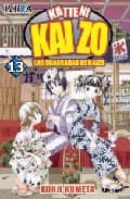 Katteni Kaizo Nº 13