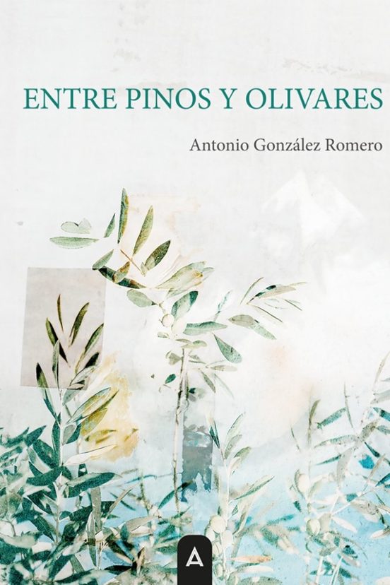 Entre pinos y olivares