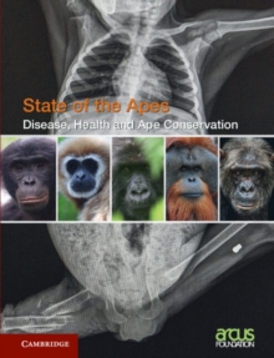 Disease Health And Ape Conservation: Volume 5