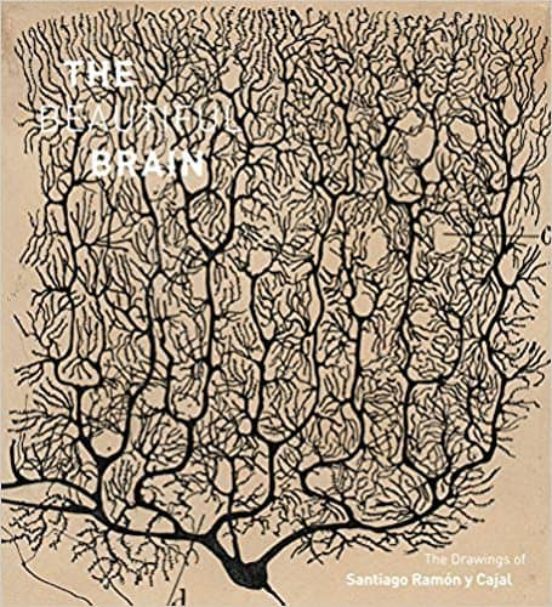 Beautiful Brain: The Drawings Of Ramon Y Cajal