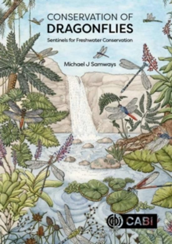 Conservation Of Dragonflies