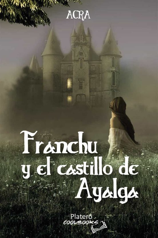 Franchu Y El Castillo De Ayalga
