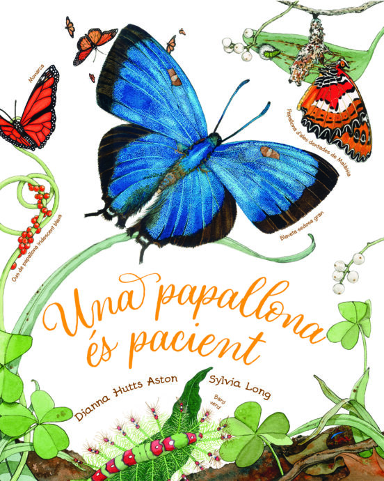 Una Papallona És Pacient