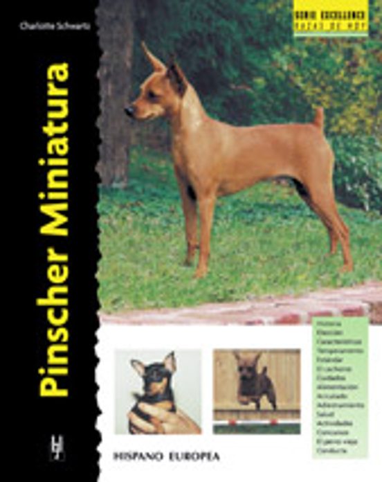 Pinscher Miniatura. Serie Excellence
