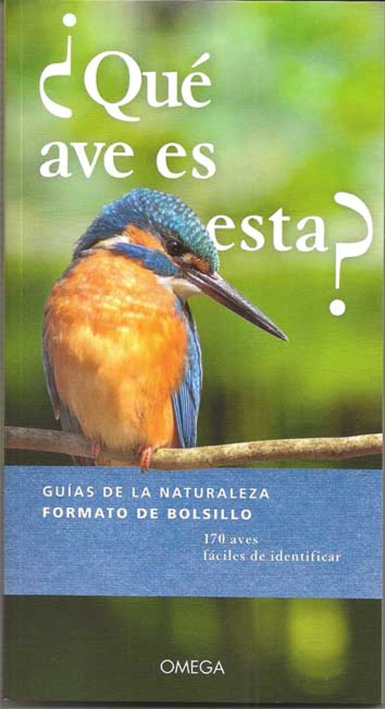 ¿que Ave Es Esta? - Guias De La Naturaleza