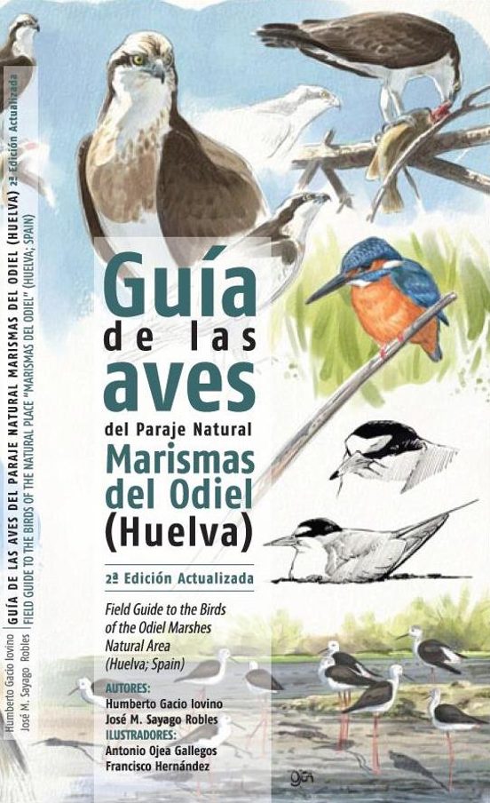 Guia De Las Aves Del Parque Natural Sierra De Cazorla Segura Y L As Vi