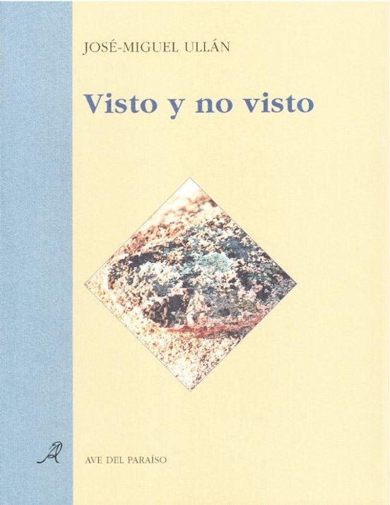 Visto y no visto