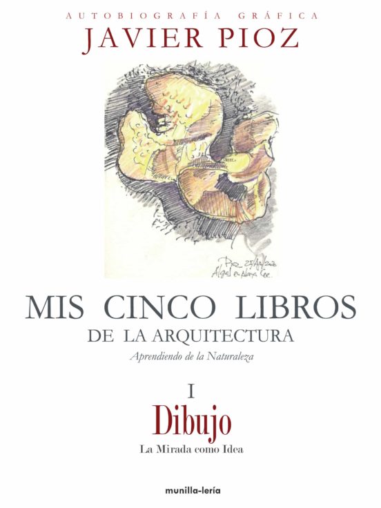 Mis Cinco Libros De La Arquitectura