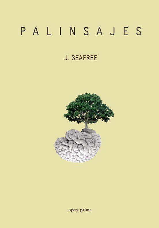 Palinsajes
