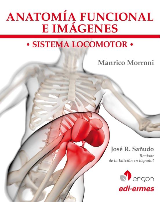 Anatomia Funcional E Imagenes: Sistema Locomotor