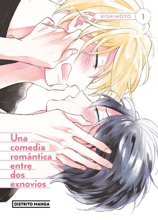 Una Comedia Romántica entre dos Exnovios