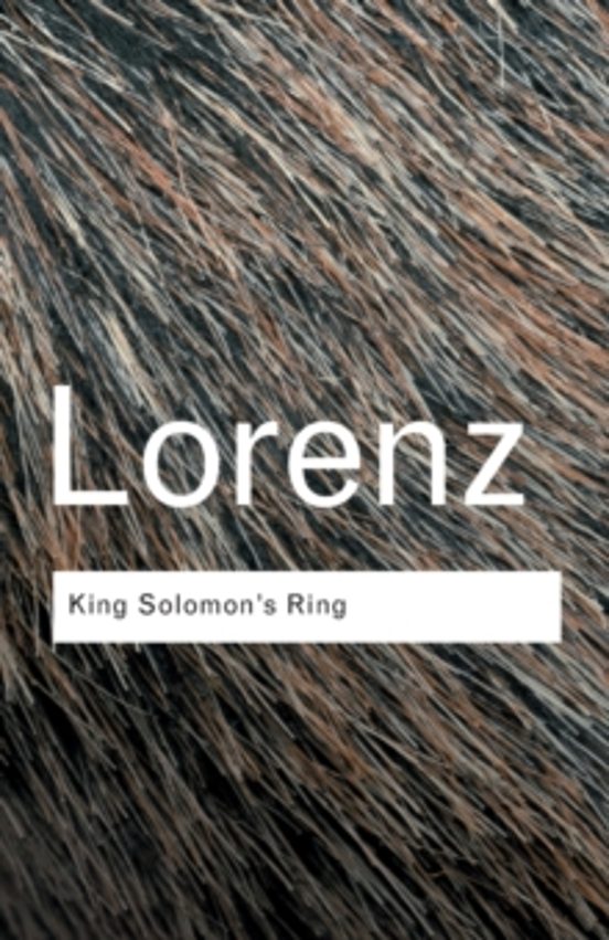 King Solomons Ring
